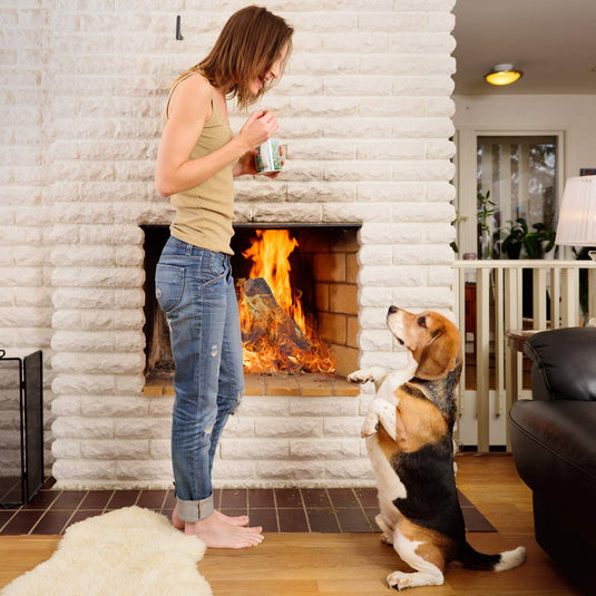 Ceramic Wood Gas Fireplace Log Set for Ventless (9 PCS/10 PCS) - GoplusUS