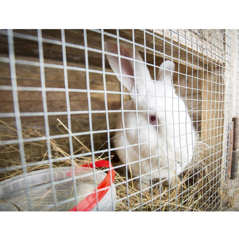 Load image into Gallery viewer, Hardware Cloth Mesh Fencing Animal Barrier (36'' x 50'/48'' x 50') - GoplusUS