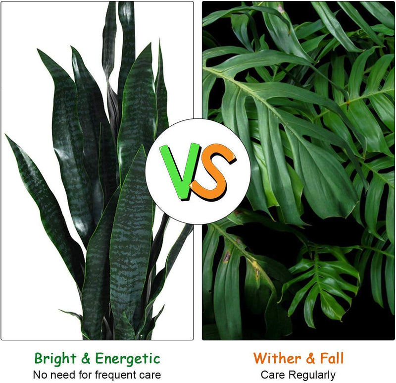 Load image into Gallery viewer, Goplus Fake Snake Plant, 2 Pack 36" Tall Artificial Potted Floor Plant