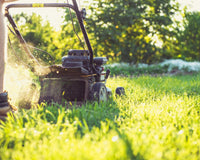 Lawn Mower Buying Guide: How to Choose the Right Mower for Your Yard