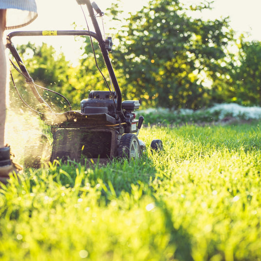 Lawn Mower Buying Guide: How to Choose the Right Mower for Your Yard
