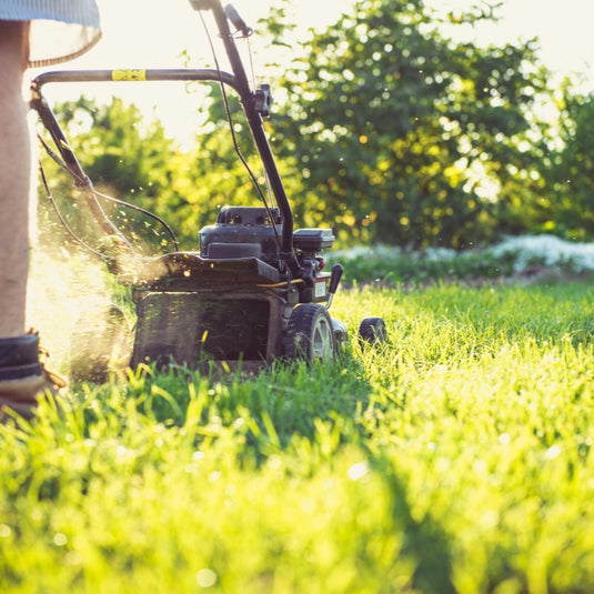 How to Pick the Perfect Lawn Mower