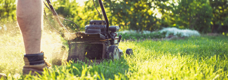 How to Pick the Perfect Lawn Mower
