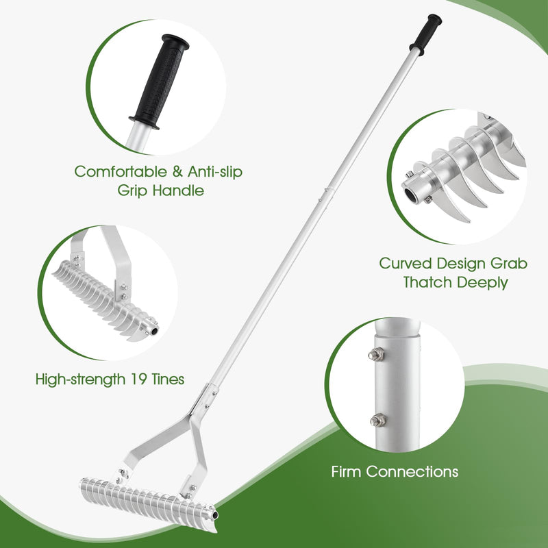 Load image into Gallery viewer, Goplus 20-Inch Thatch Rake for Cleaning Dead Grass loosening Soil
