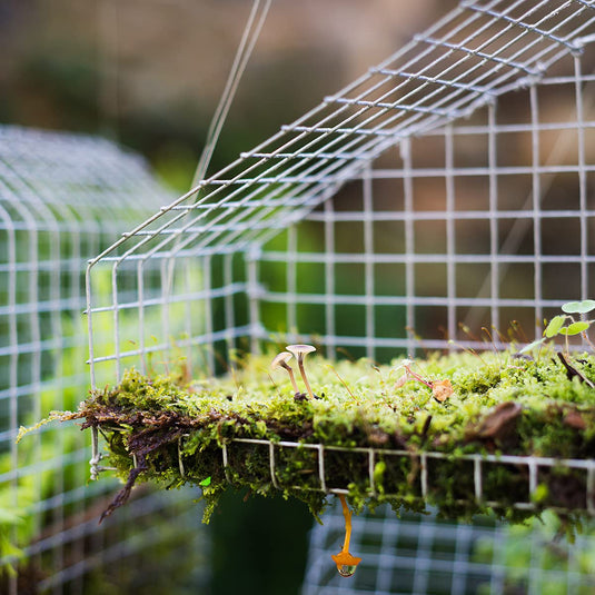 48'' x 50' 1/4 inch Hardware Cloth, 23 Gauge Square Galvanized Chicken Wire