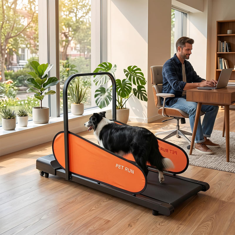Load image into Gallery viewer, Goplus Indoor Dog Treadmill for Small &amp; Medium Dogs Supports up to 243 LBS
