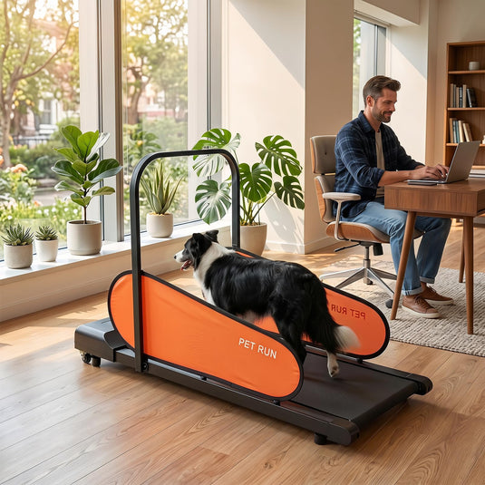 Goplus Indoor Dog Treadmill for Small & Medium Dogs Supports up to 243 LBS