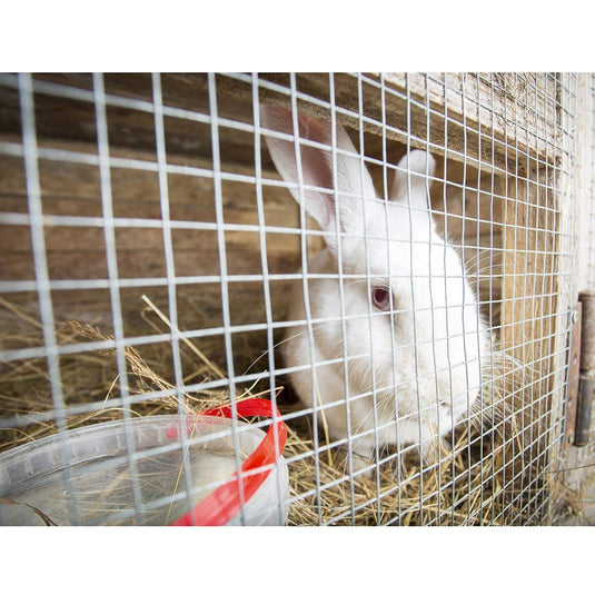Hardware Cloth Mesh Fencing Animal Barrier (36'' x 50'/48'' x 50') - GoplusUS